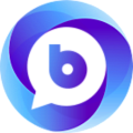 B-Sales